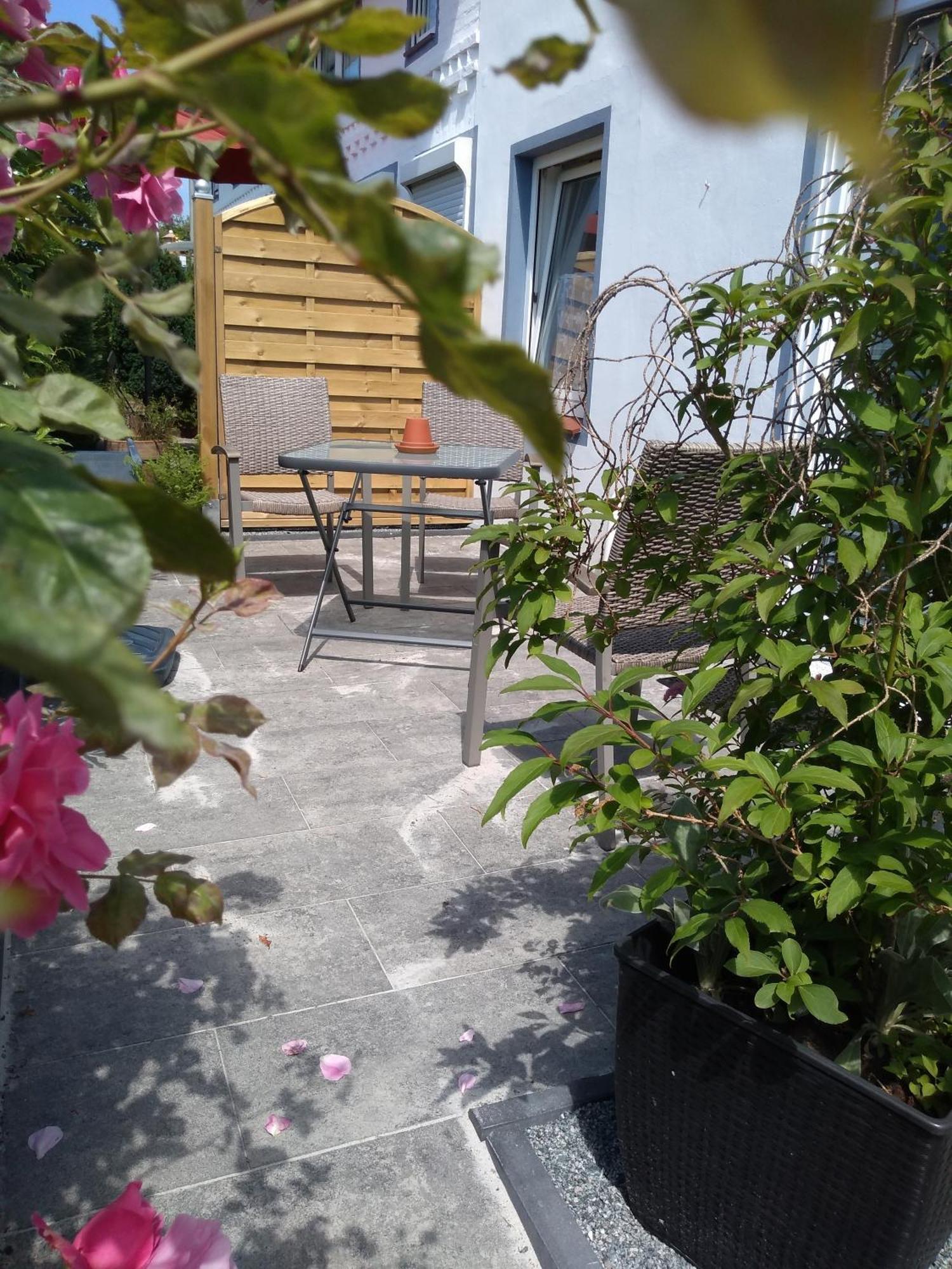Fewo 3 Mit Terrasse, Box-Bett, Kl Extra Zimmer, Tresor Dahme  Eksteriør bilde